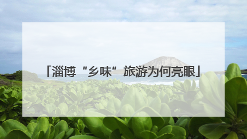 淄博“乡味”旅游为何亮眼