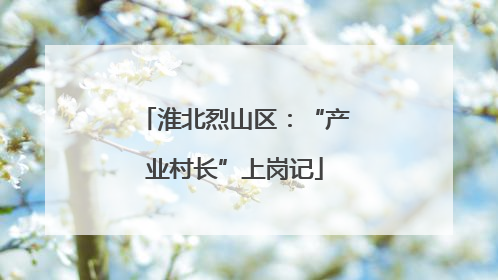 淮北烈山区：“产业村长”上岗记