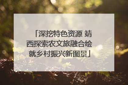 深挖特色资源 靖西探索农文旅融合绘就乡村振兴新图景