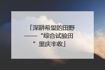 深耕希望的田野——“综合试验田”里庆丰收