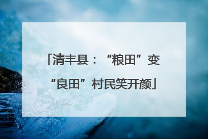 清丰县：“粮田”变“良田”村民笑开颜