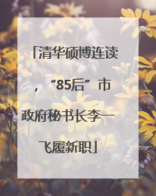 清华硕博连读，“85后”市政府秘书长李一飞履新职