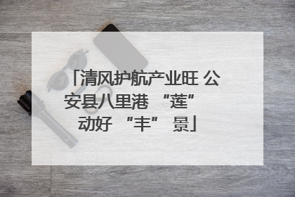 清风护航产业旺 公安县八里港 “莲” 动好 “丰” 景