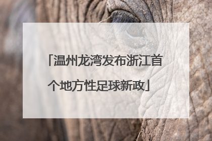 温州龙湾发布浙江首个地方性足球新政