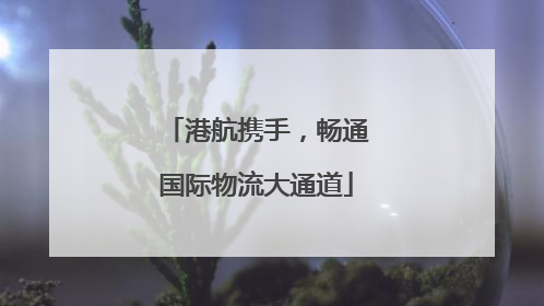 港航携手，畅通国际物流大通道