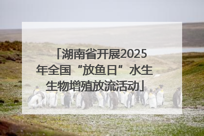 湖南省开展2025年全国“放鱼日”水生生物增殖放流活动