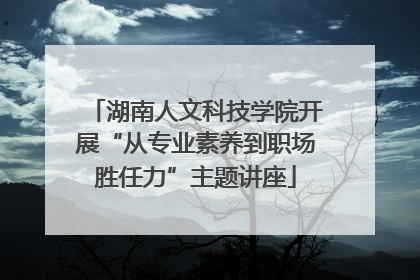 湖南人文科技学院开展“从专业素养到职场胜任力”主题讲座