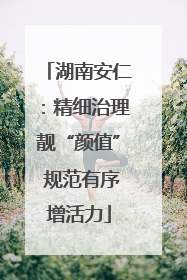 湖南安仁：精细治理靓“颜值” 规范有序增活力