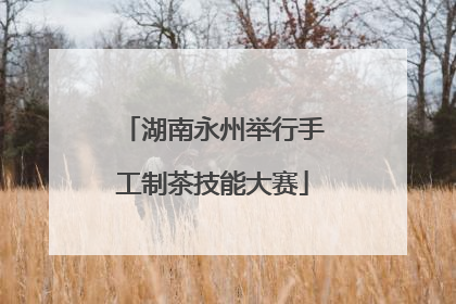湖南永州举行手工制茶技能大赛