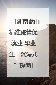 湖南蓝山精准施策促就业 毕业生“沉浸式”探岗