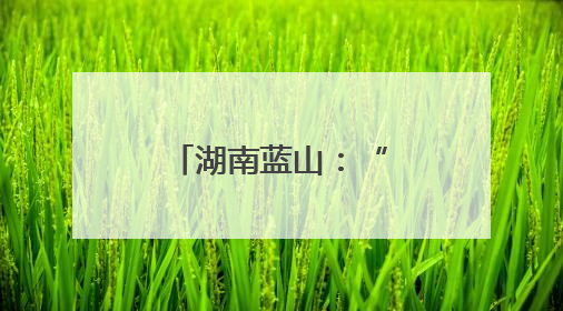 湖南蓝山：“小切口”推动“大民生”
