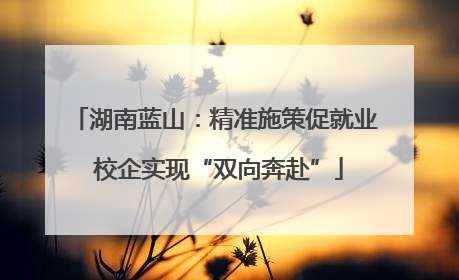 湖南蓝山：精准施策促就业 校企实现“双向奔赴”