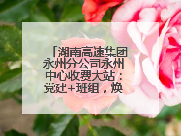 湖南高速集团永州分公司永州中心收费大站：党建+班组，焕发内在活力