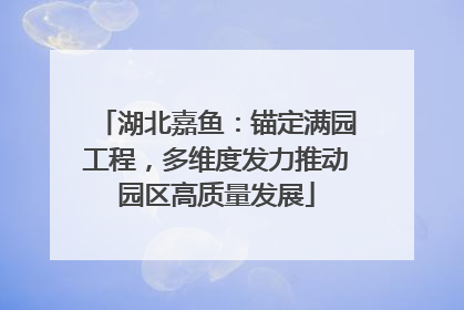 湖北嘉鱼：锚定满园工程，多维度发力推动园区高质量发展