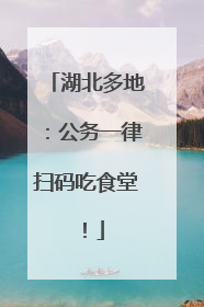 湖北多地：公务一律扫码吃食堂！