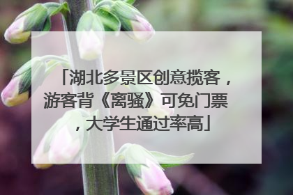 湖北多景区创意揽客，游客背《离骚》可免门票，大学生通过率高