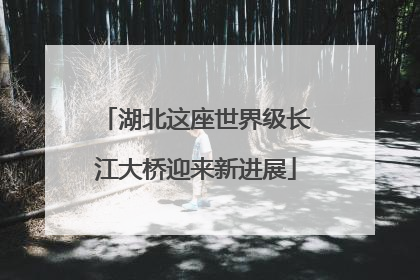 湖北这座世界级长江大桥迎来新进展