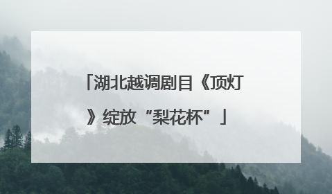 湖北越调剧目《顶灯》绽放“梨花杯”