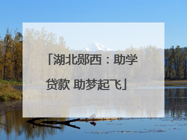 湖北郧西：助学贷款 助梦起飞