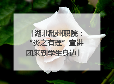 湖北随州职院：“炎之有理”宣讲团来到学生身边
