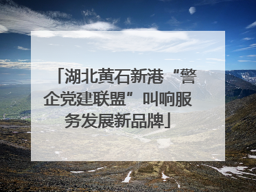 湖北黄石新港“警企党建联盟”叫响服务发展新品牌