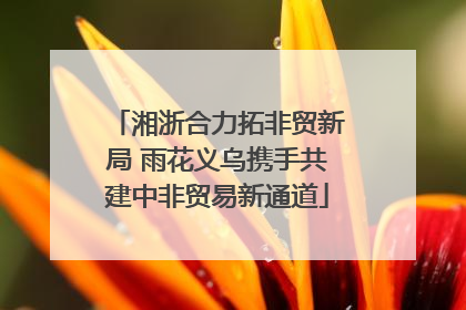 湘浙合力拓非贸新局 雨花义乌携手共建中非贸易新通道