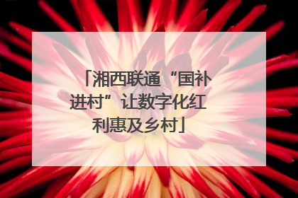 湘西联通“国补进村”让数字化红利惠及乡村