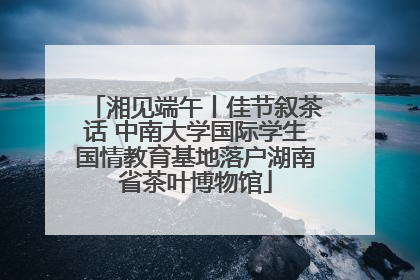 湘见端午丨佳节叙茶话 中南大学国际学生国情教育基地落户湖南省茶叶博物馆