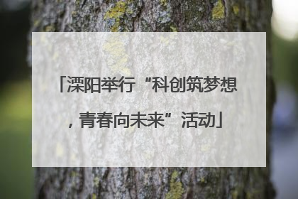 溧阳举行“科创筑梦想，青春向未来”活动