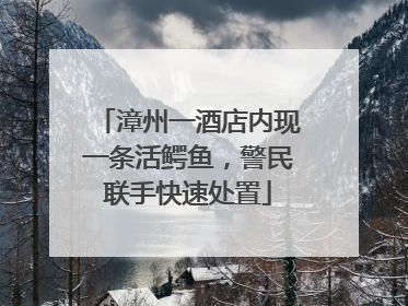 漳州一酒店内现一条活鳄鱼，警民联手快速处置