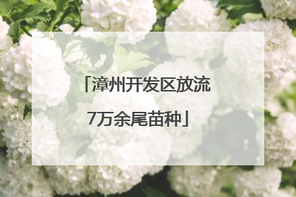 漳州开发区放流7万余尾苗种