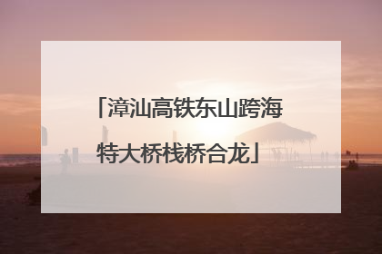 漳汕高铁东山跨海特大桥栈桥合龙