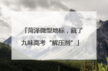 菏泽微型地标，藏了九味高考“解压剂”