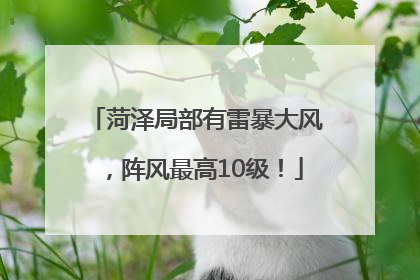 菏泽局部有雷暴大风，阵风最高10级！