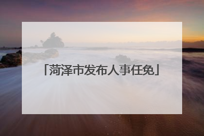 菏泽市发布人事任免