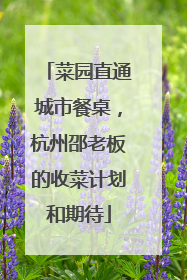 菜园直通城市餐桌，杭州邵老板的收菜计划和期待