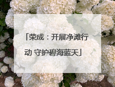 荣成：开展净滩行动 守护碧海蓝天