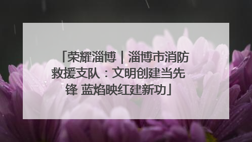 荣耀淄博｜淄博市消防救援支队：文明创建当先锋 蓝焰映红建新功