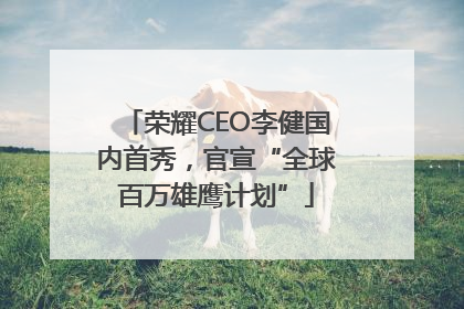 荣耀CEO李健国内首秀，官宣“全球百万雄鹰计划”