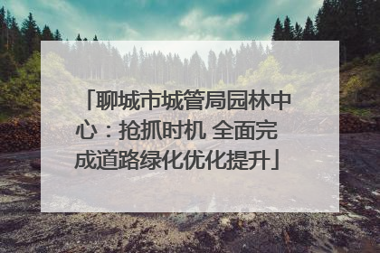 聊城市城管局园林中心：抢抓时机 全面完成道路绿化优化提升
