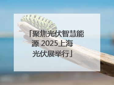聚焦光伏智慧能源 2025上海光伏展举行
