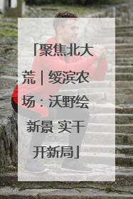 聚焦北大荒｜绥滨农场：沃野绘新景 实干开新局