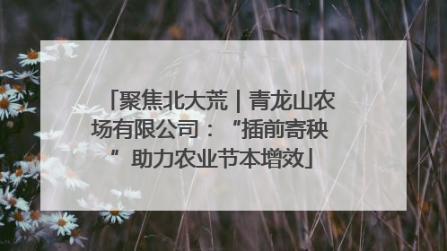 聚焦北大荒｜青龙山农场有限公司：“插前寄秧”助力农业节本增效