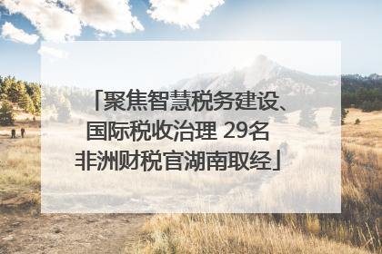 聚焦智慧税务建设、国际税收治理 29名非洲财税官湖南取经