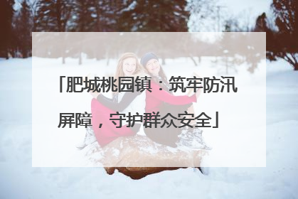 肥城桃园镇：筑牢防汛屏障，守护群众安全