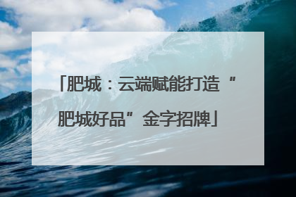 肥城：云端赋能打造“肥城好品”金字招牌