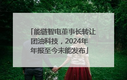 能链智电董事长转让团油科技，2024年年报至今未能发布