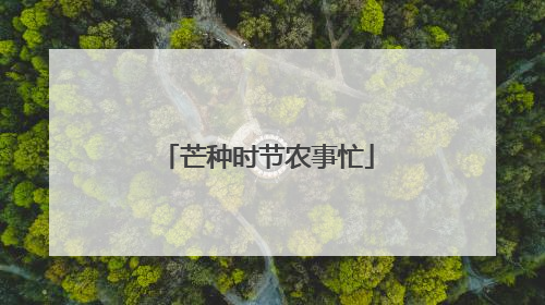 芒种时节农事忙
