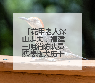 花甲老人深山走失，福建三明消防队员携搜救犬历十天营救成功