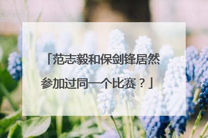 范志毅和保剑锋居然参加过同一个比赛？
